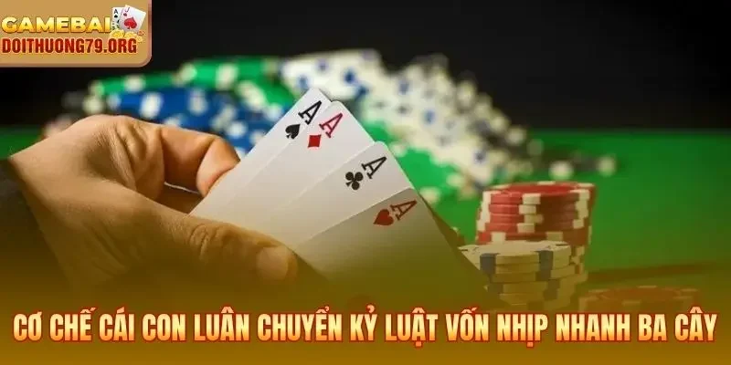 Cơ chế Cái Con luân chuyển và kỷ luật vốn nhịp nhanh Ba Cây